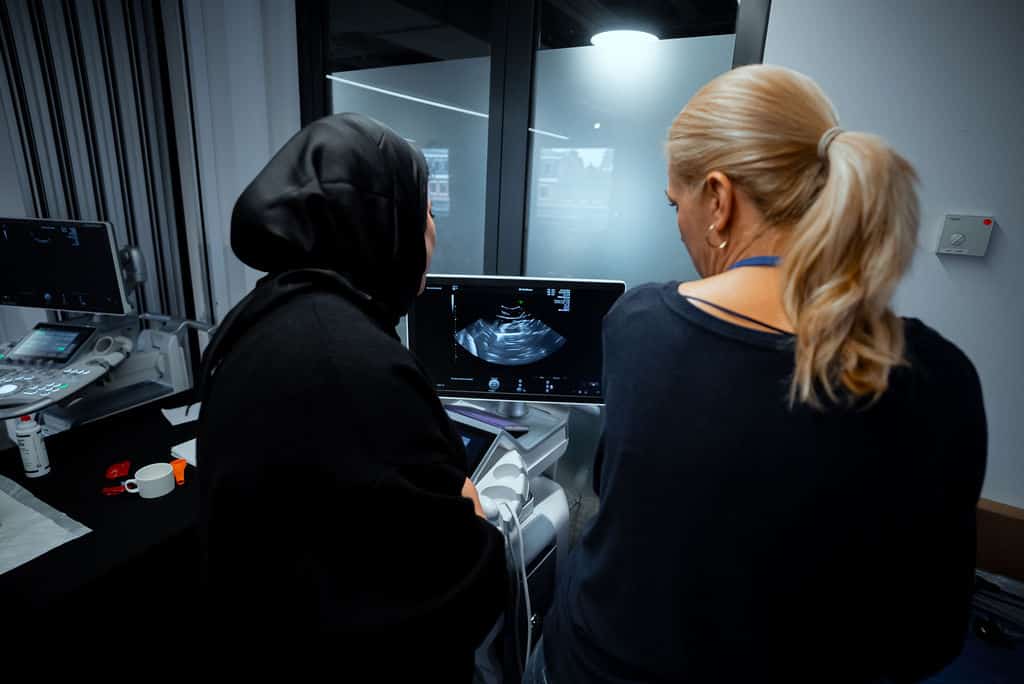 Twin & Multiple Pregnancy Academy - Professor Asma Khalil